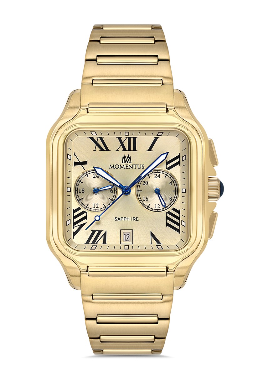 Momentus Time Master TM348G-08SG Erkek Kol Saati