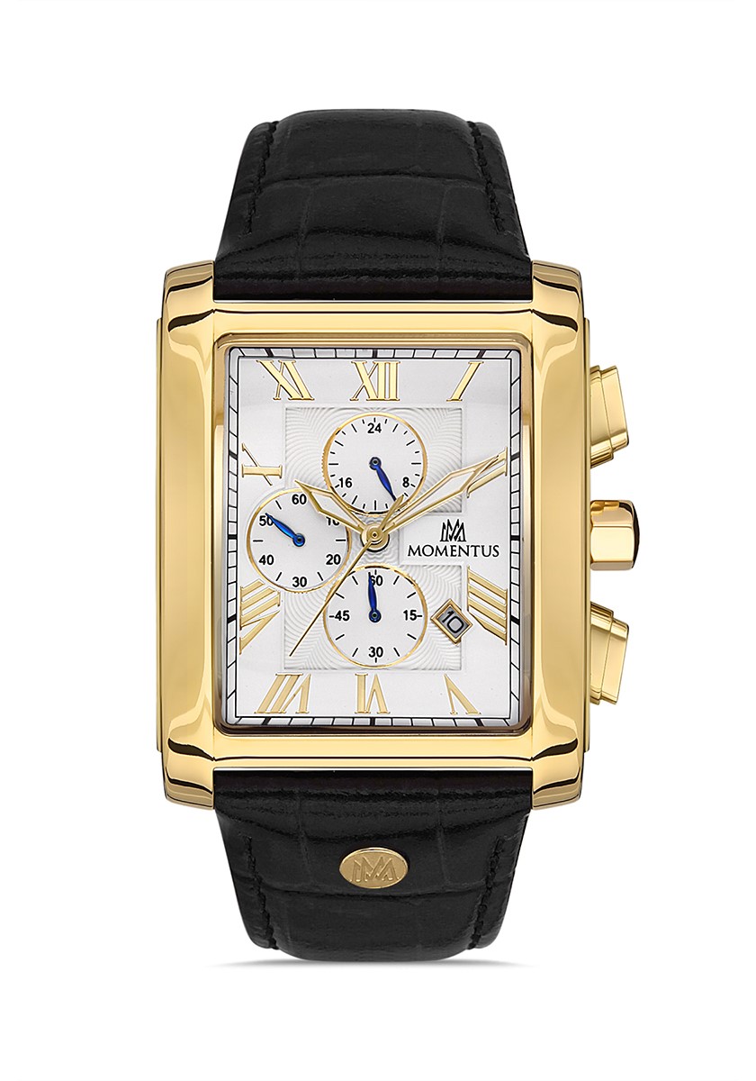 Momentus Time Master TM111G-02BG Erkek Kol Saati